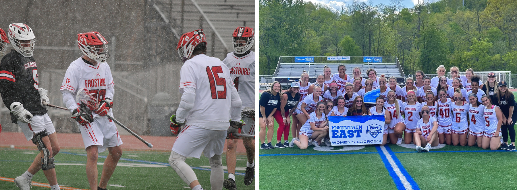 Lacrosse image